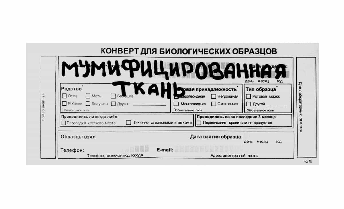 Нестандартный материал Мумифицированная ткань